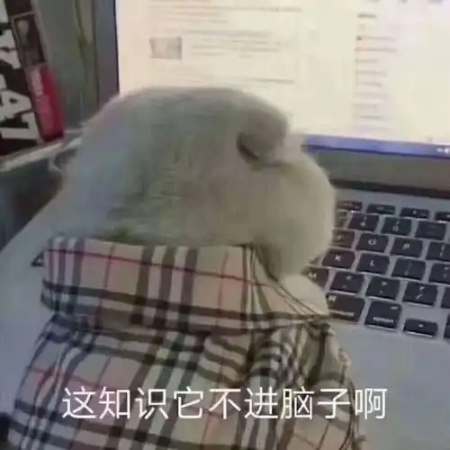 求求你别问考研英语阅读技巧了,进来学
