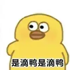 你傻啊,宝
