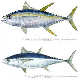 你知道咸鱼表情包里的那只,到底是什么鱼吗
