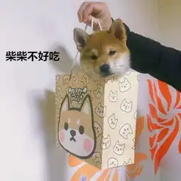 女子以为外卖到家,仔细一看表情凝固了请问是拆开直接吃吗