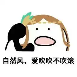 王者荣耀表情包,了解一下
