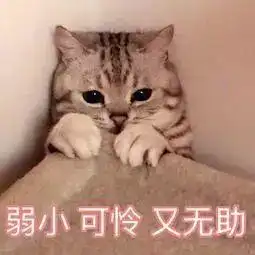 回头率100的情侣装,这么穿才是撒狗粮的正确方式
