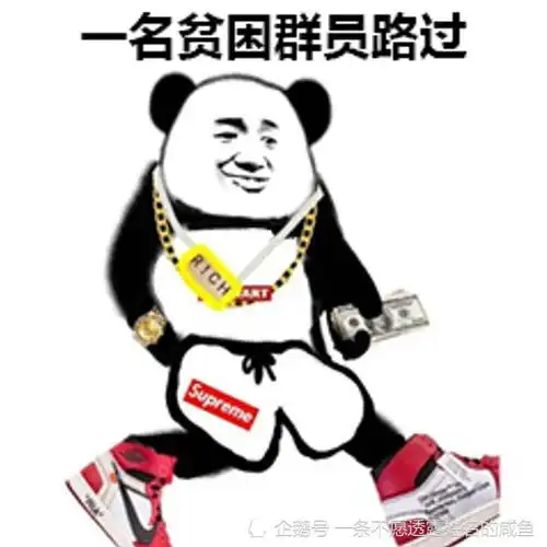 搞笑图文每当我熬夜苦读,父母都会说坚持一下,上大学就轻松了
