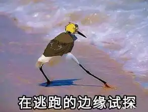 在违法的边缘试探什么梗在违法的边缘试探是什么意思在违法的边缘试探表情包原图
