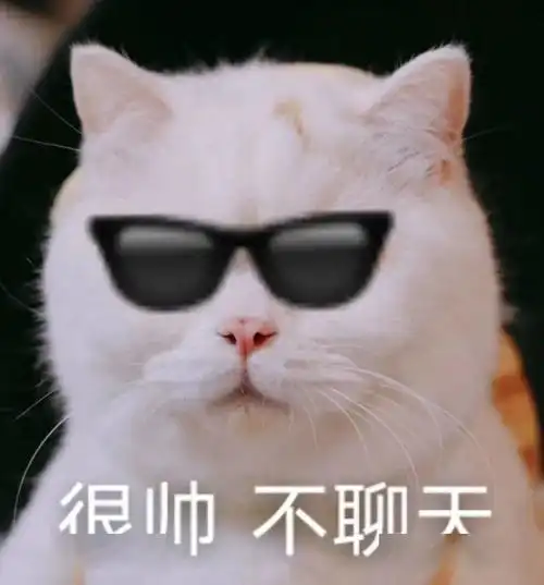 超萌猫咪表情包,你喜欢哪一只
