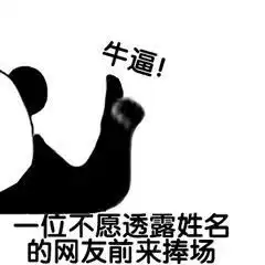 猫咪超萌变装,可爱到犯规
