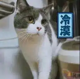 螺蛳粉臭那是你没见过猫咪放屁
