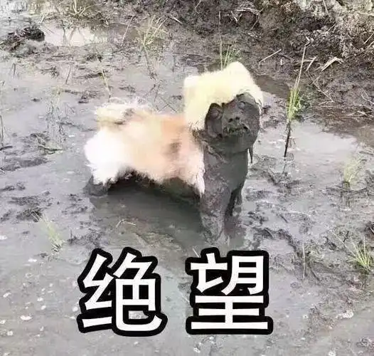 绵阳父亲用刀逼学渣娃学习结果误杀父母逼娃读书何时了
