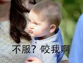 乔治王子4岁了,这个敢于拒绝加拿大总理的王子,用乡巴佬表情包萌化世界
