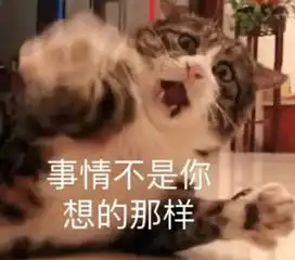 走向世界的中国表情包中华田园猫表情担当,全球网民云吸猫.....
