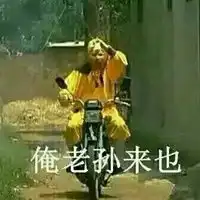 孙悟空表情包
