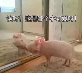 宠物神助攻表情包
