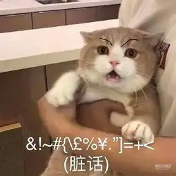 别人都说优点,我们只说缺点特斯拉model3真香评价
