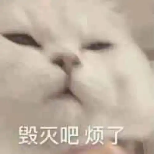 2020年度x宝沙雕新闻大赏哈哈哈哈哈真的笑拉了新年好
