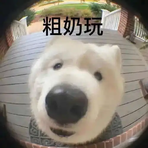 表情包干饭了
