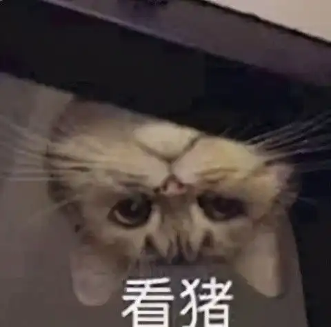 我们找到了杀死海豚的真凶
