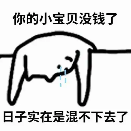 猫猫表情包过年讨红包必备
