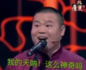小岳岳gif表情包
