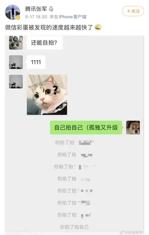 微信又出新功能微信拍一拍上热搜,网友玩着玩着却悲剧了

