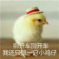 2017鸡年表情包搞笑文字版鸡听了只想赶快离开
