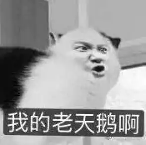 癞蛤蟆想吃天鹅肉表情包有无
