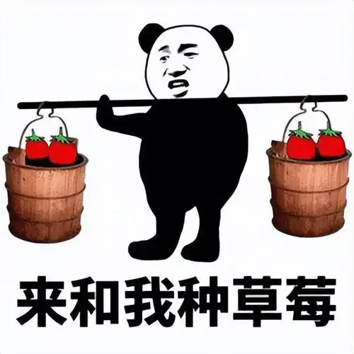 某影后与九亿姐斗法秘闻