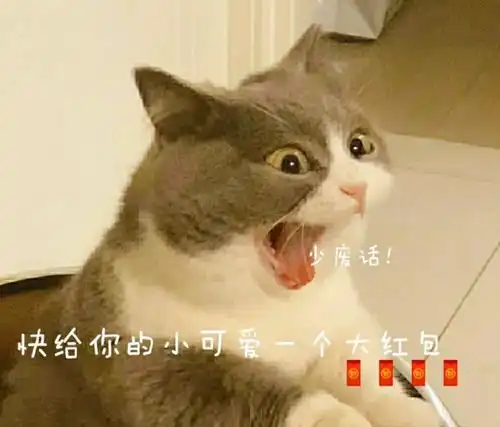 有没有过年收到红包以后发的表情包
