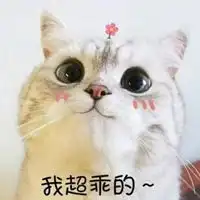 乖巧还tm懂事表情包

