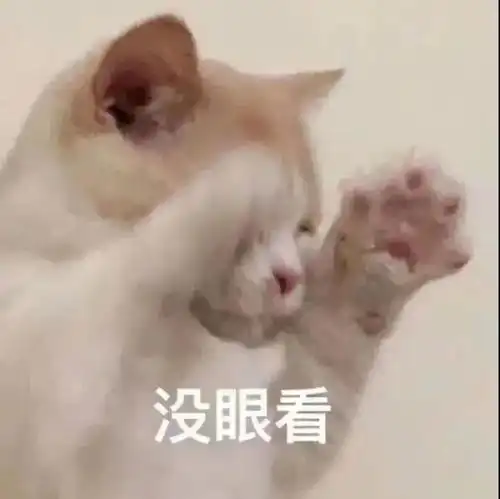我钱呢我钱呢我钱呢丨第134期喵表情
