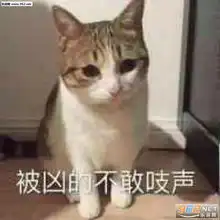 突然冷群表情包图片被凶的不敢吱声表情包下载乐游网游戏下载
