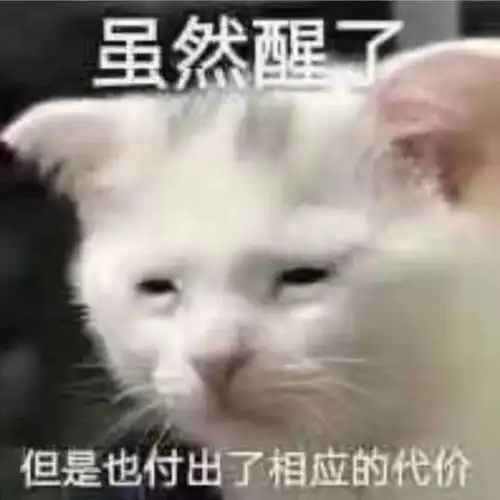 虽然醒了但是也付出了相应的代价猫咪犯困表情包付出代价犯困猫咪表情
