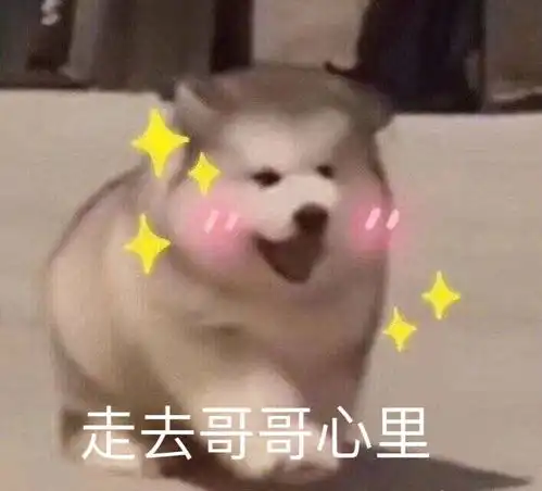 我也差不多是个废物了
