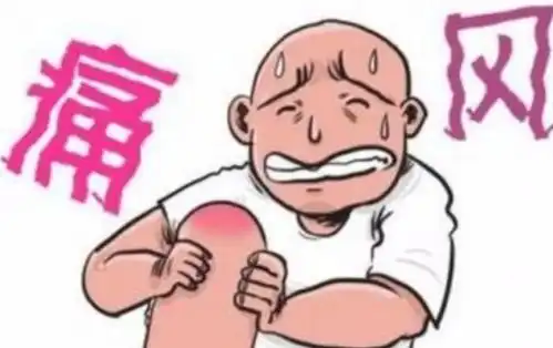 痛风石为何会堆积在肢体末端的关节处
