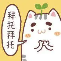 猫头上有根草头像微信头像图片大全
