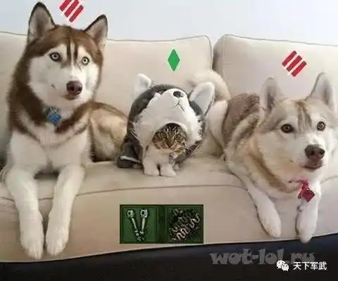 笑得快失了智,这些战斗民族的坦克囧图,承包了我一天的笑点
