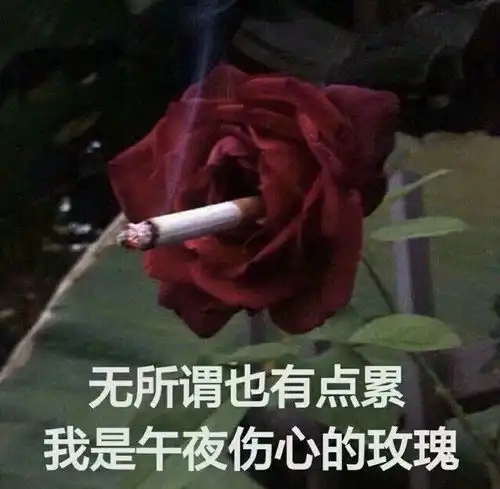 拯救你没文案发的沙雕文案

