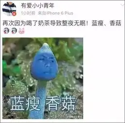 来get一下网络新词汇︱蓝瘦香菇到底是个什么鬼
