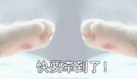 牵宝宝的手套路表情包合集牵手成功牵手失败
