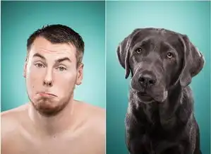 宠物主人模仿爱犬表情照萌翻众人
