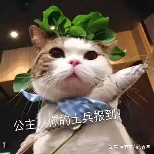 适合恋爱时候甜甜的表情包
