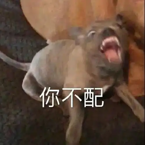 表情包人铁定出事
