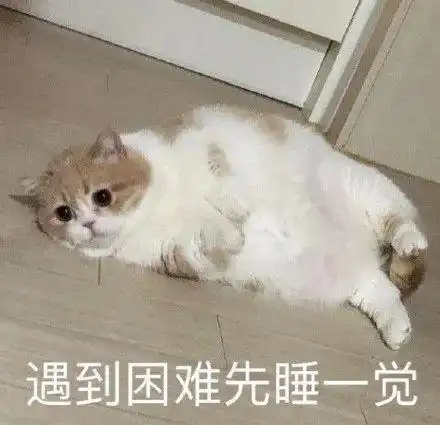 鸡娃之前,建议先做亲子鉴定

