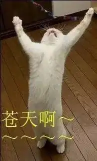 世界宿舍文化大pk,最美中国风完胜,有木有
