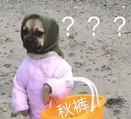 有一种思念叫做望穿秋水,有一种寒冷叫忘穿秋裤
