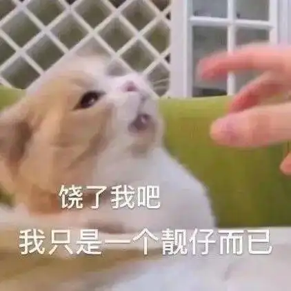 新学期伊始回想起留校过年的我们并不是孤岛
