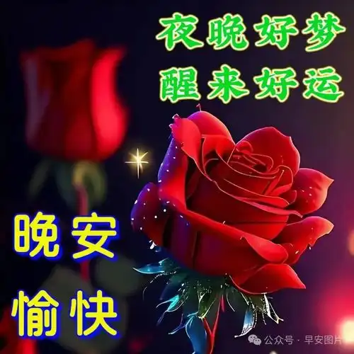 2024年6月28日周五早安创意祝福图片,早上好表情包温馨问候祝福语大全愿周五愉快吉祥安康创意祝福大家早上好幸福快乐早安清晨手机网易网
