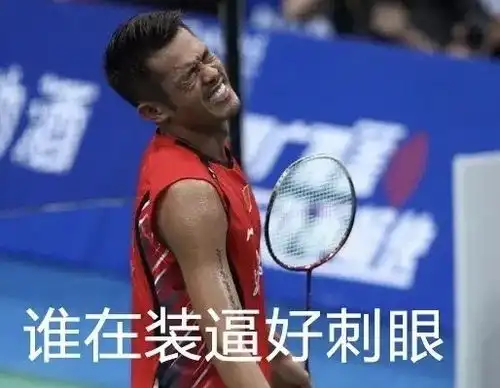 你最喜欢的羽毛球运动员是谁,为什么

