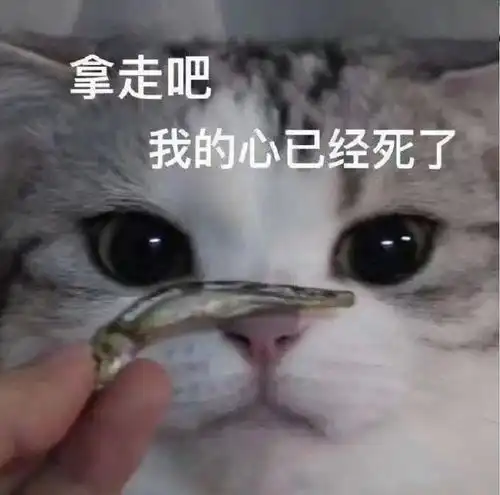 唐嫣得罪了谁15年前旧照都被爆出来,这肿成藕节的胳膊对比也太惨烈...
