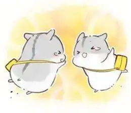 不会吧,不会吧,不会真的有人过年不吃饺子吧
