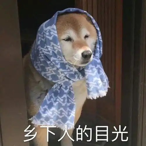表情包新年土味第一波
